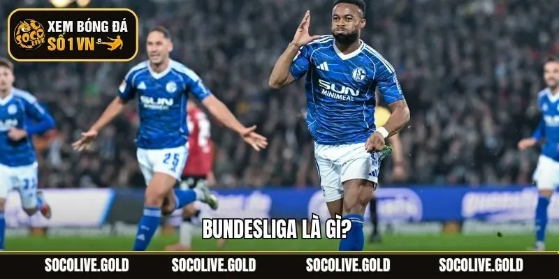 Bundesliga Là Gì