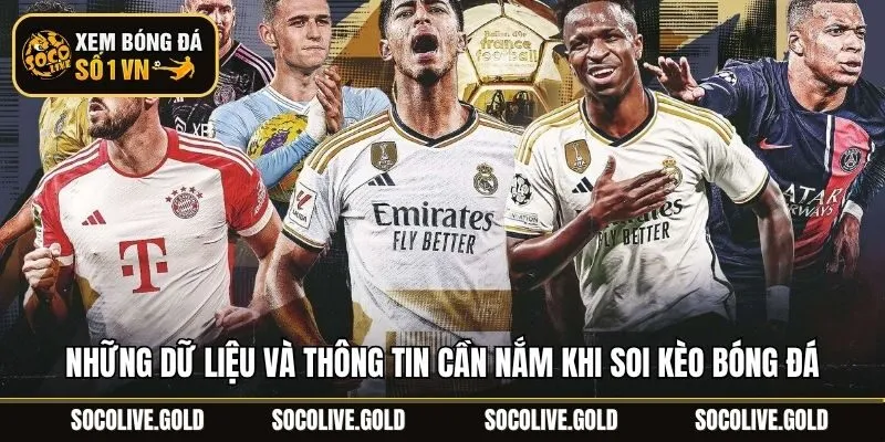 Những dữ liệu và thông tin cần nắm khi soi kèo bóng đá