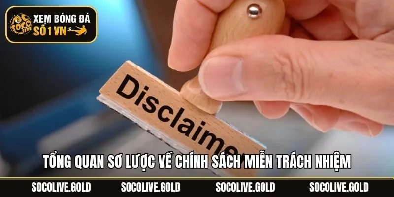 Tổng quan sơ lược về chính sách miễn trách nhiệm