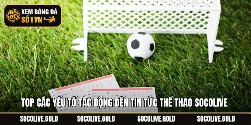 Top các yếu tố tác động đến tin tức thể thao socolive 