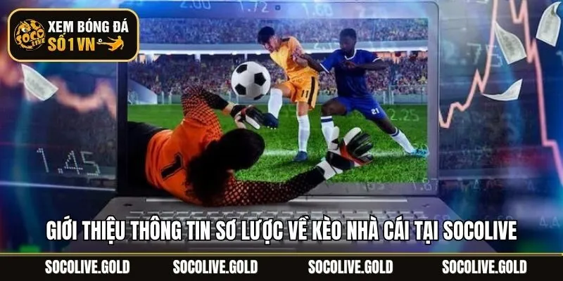 Giới thiệu thông tin sơ lược về kèo nhà cái tại Socolive
